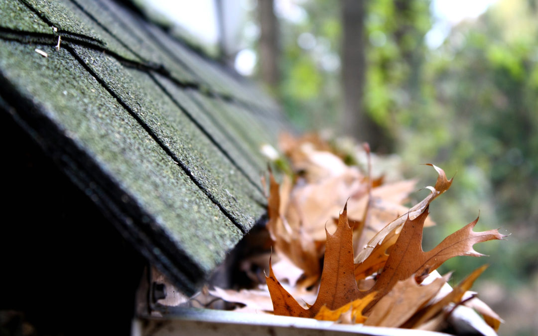 Roof and Gutter Inspections